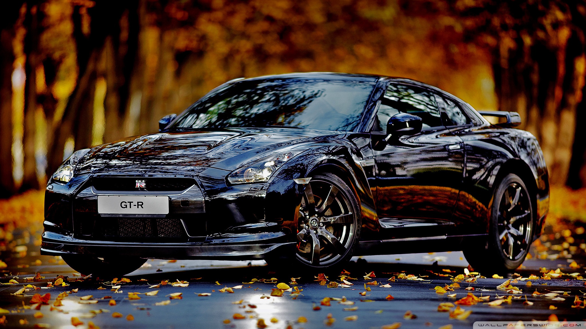 Nissan Skyline GTR Autumn Ultra HD Desktop Background Wallpaper for 4K UHD TV, Widescreen & UltraWide Desktop & Laptop, Tablet