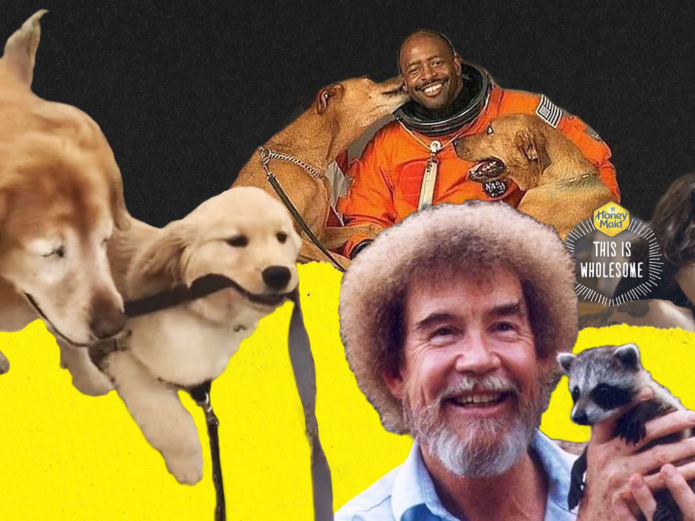 Wholesome culture, from memes to puppies, explained