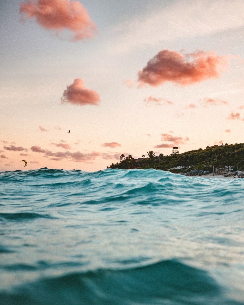 Summer Wallpaper: Free HD Download [HQ]