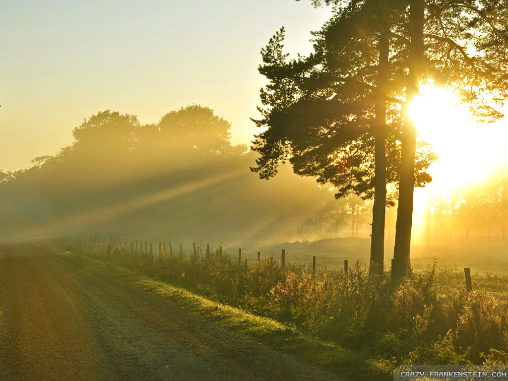 Morning wallpaperx768