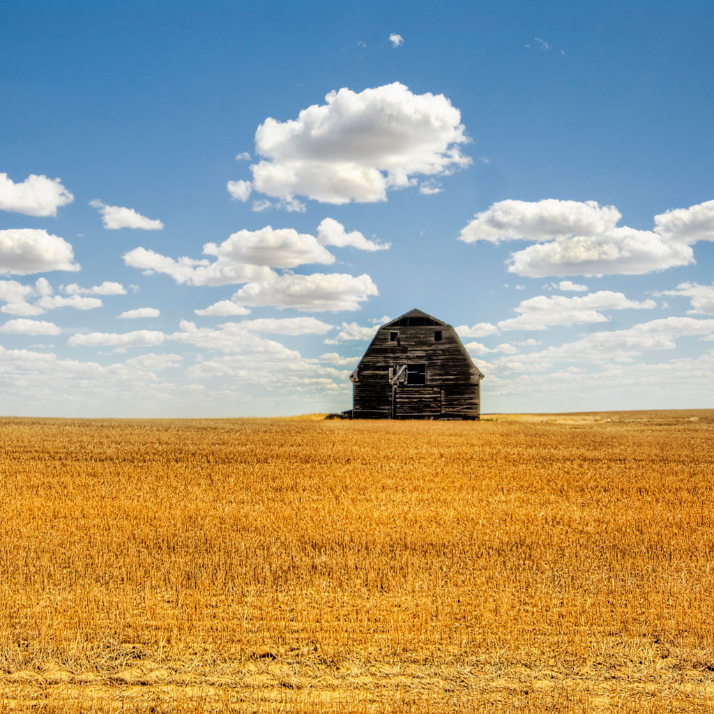 Free download And Old Barn IPad Wallpaper Summer field and old barn iPad Wallpaper [1024x1024] for your Desktop, Mobile & Tablet. Explore Old Barn Wallpaper. Barn Wallpaper for Computer