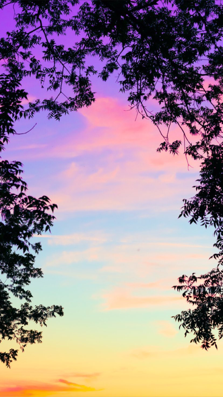 Sunset. Whatsapp background, Background summer, Peaceful background