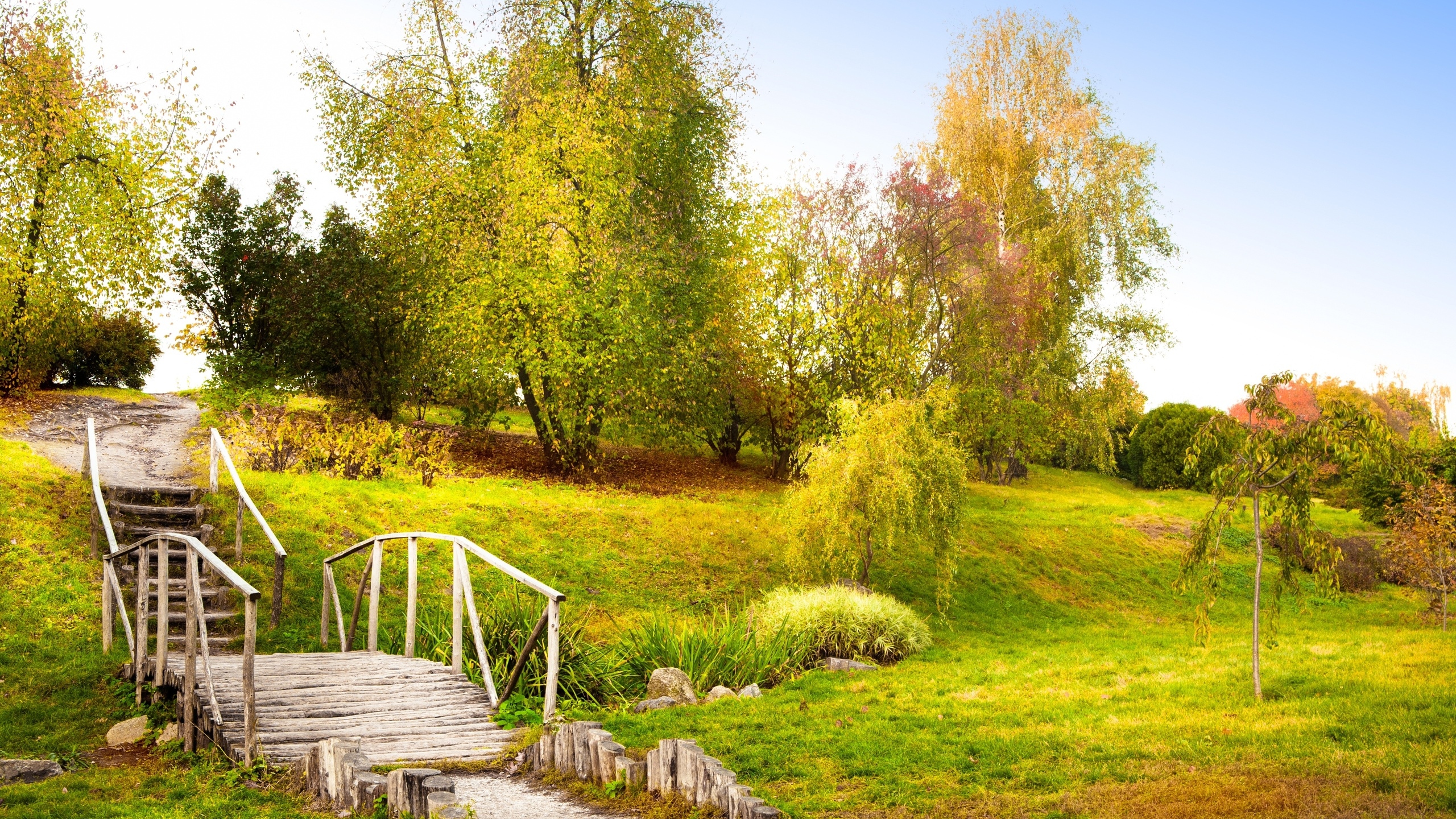 Old wooden bridge in the green garden