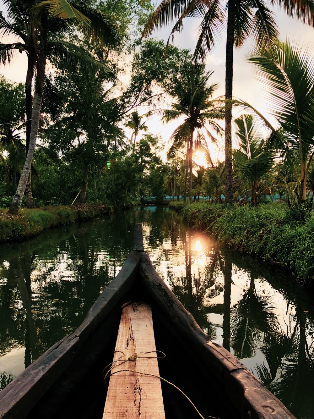Kerala Picture [Scenic Travel Photo]. Download Free Image