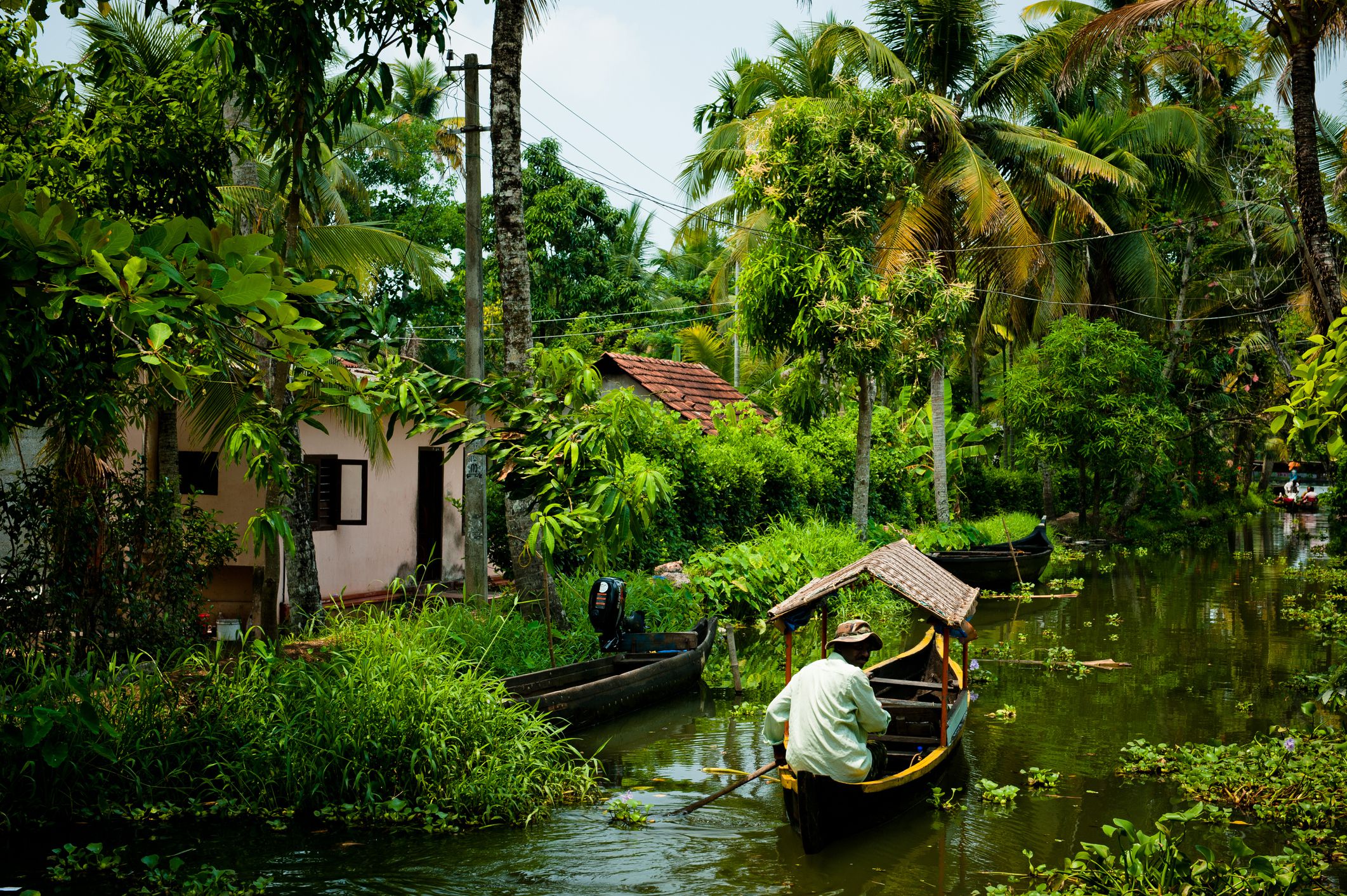 Dreamy Photo of Kerala's Backwaters Attractions