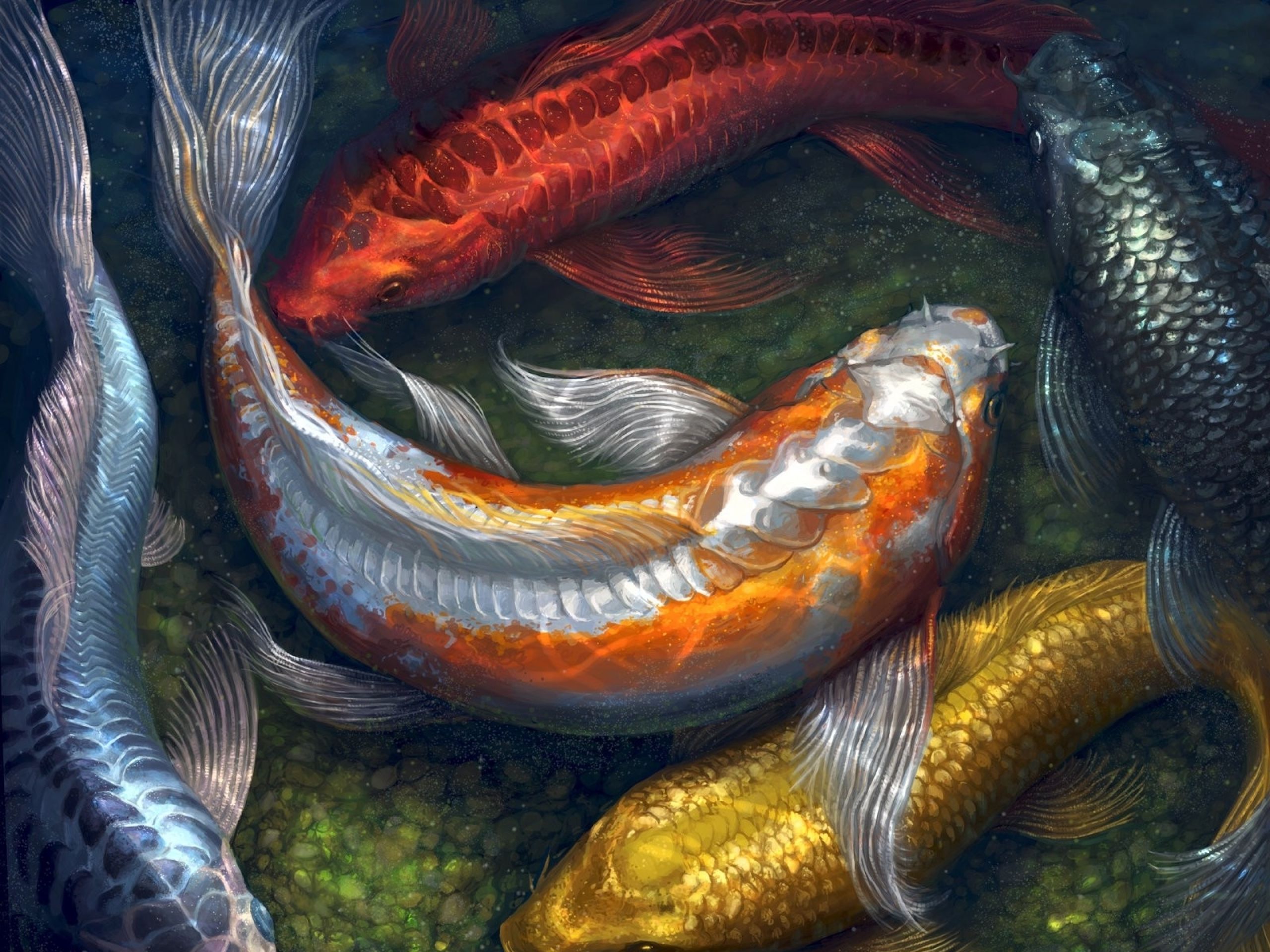 water paintings fish koi artwork pebbles 1600x1250 wallpaper Art HD Wallpaper. Koi art, Water painting, Koi fish