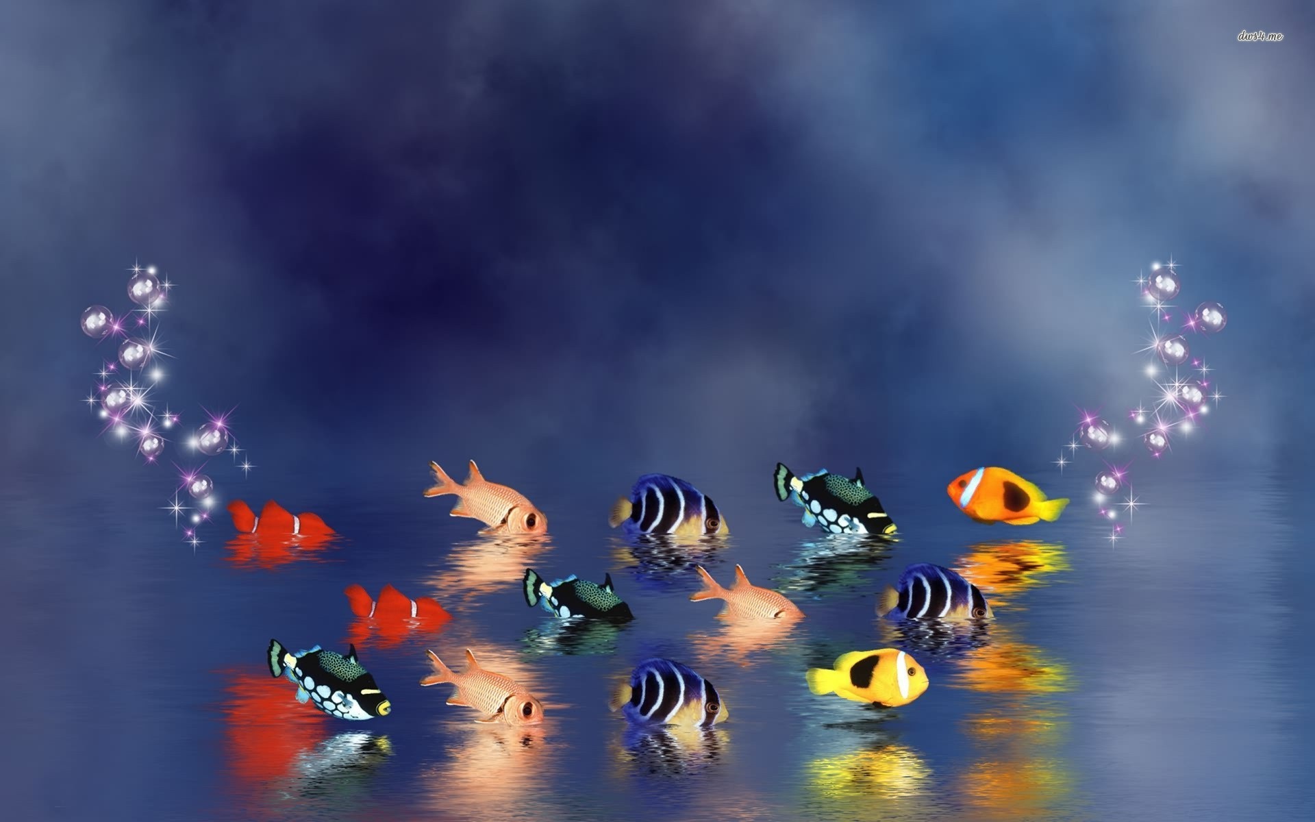 Fish Wallpaper Art