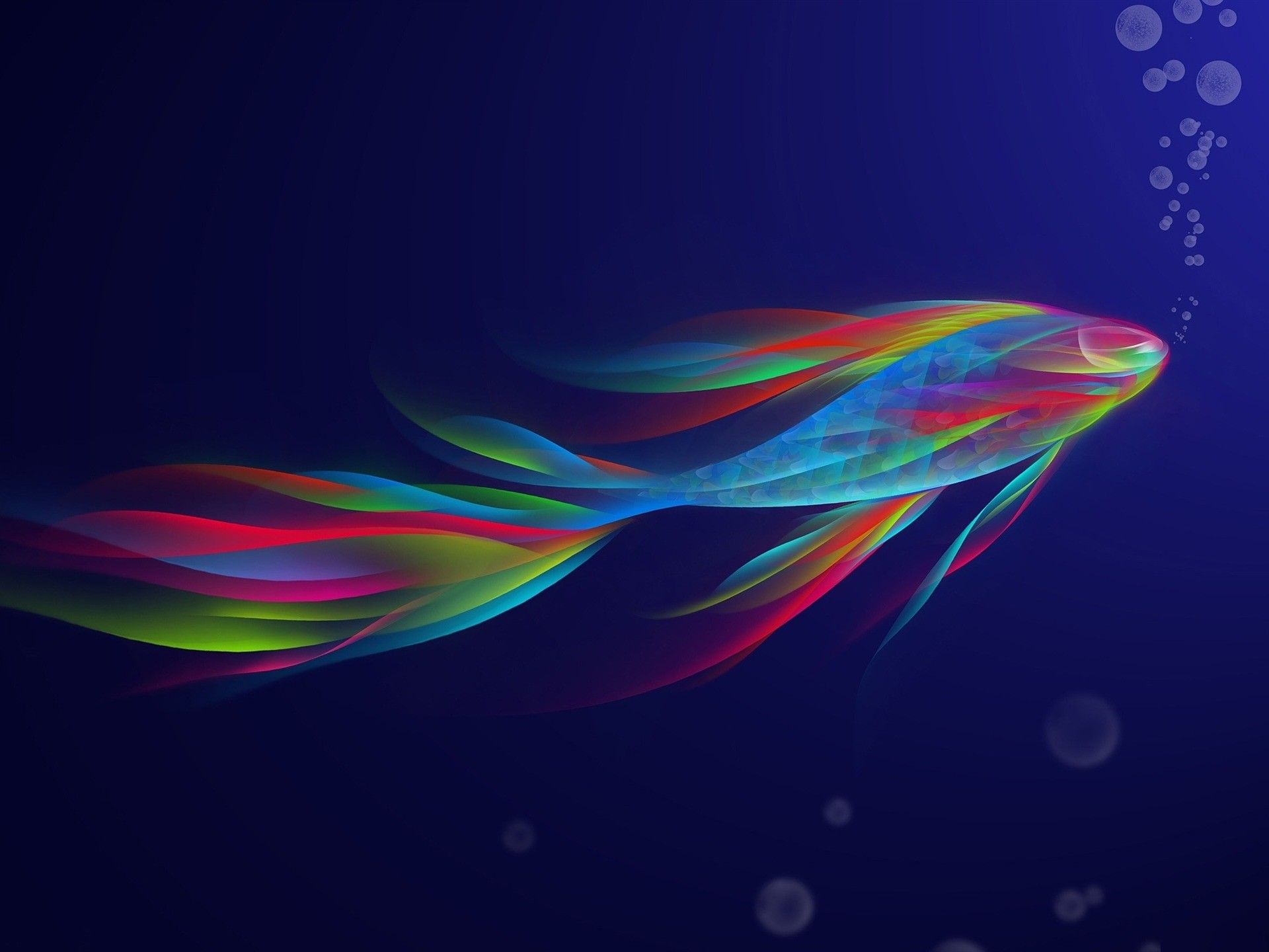 Abstract Fish Wallpaper Free Abstract Fish Background