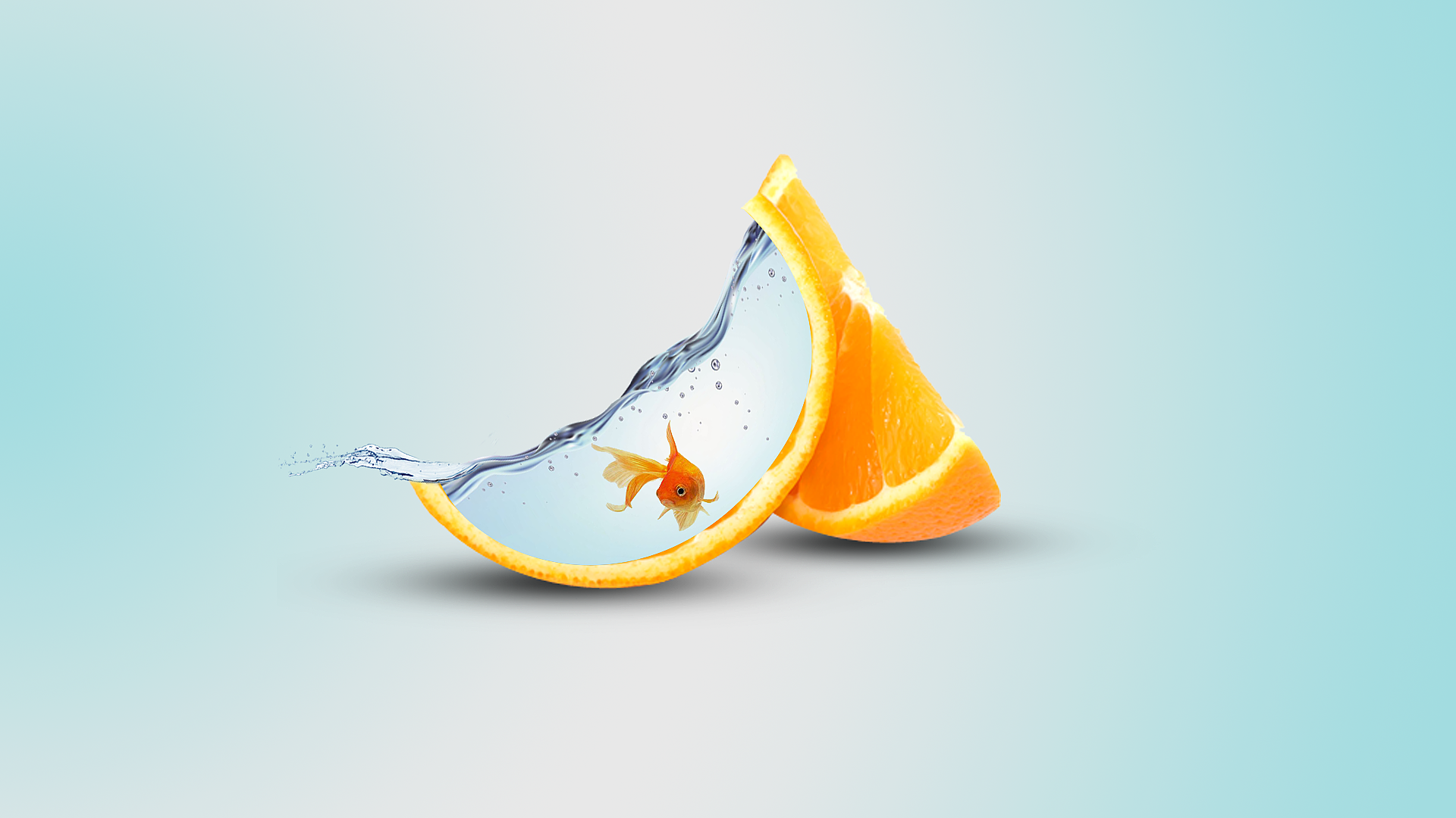 Wallpaper, orange fruit, fish, digital art, water 1920x1080