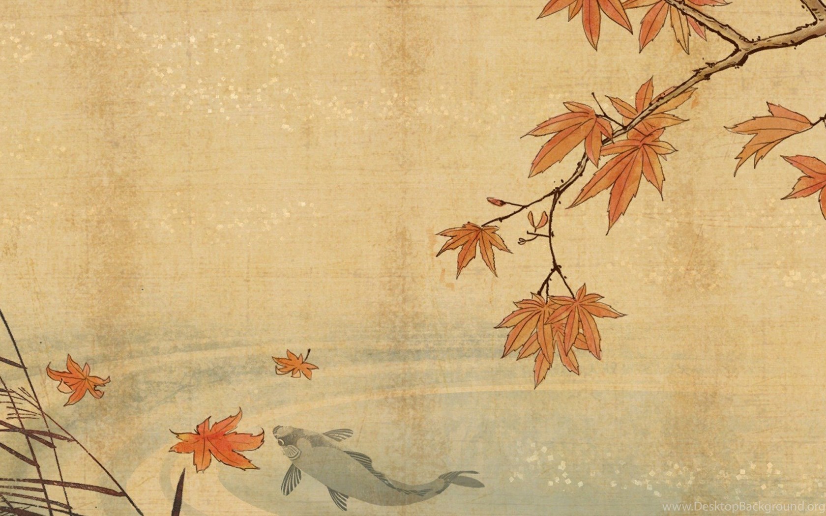 Koi Fish Art Wallpaper Bing Image Desktop Background
