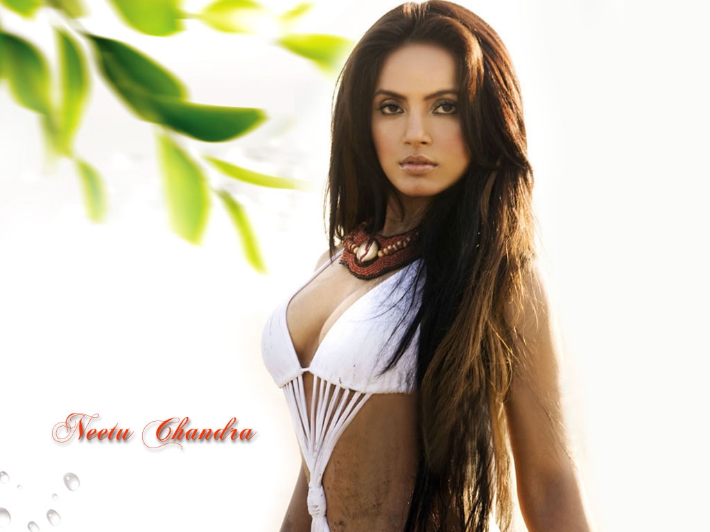 Neetu Chandra Latest Hot & Wallpaper HD