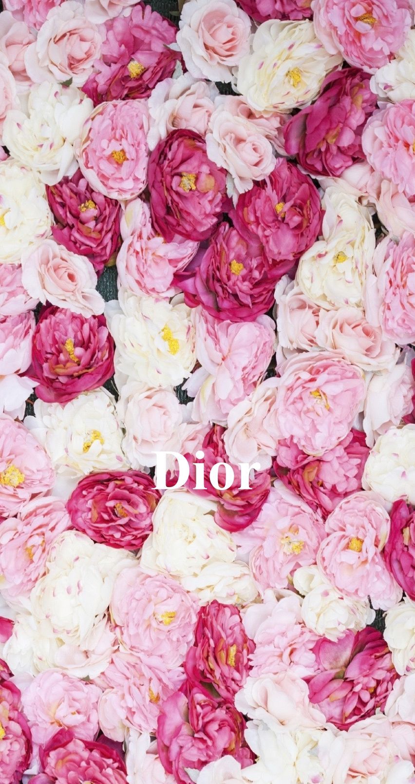 Dior Flower Wallpaper Free Dior Flower Background
