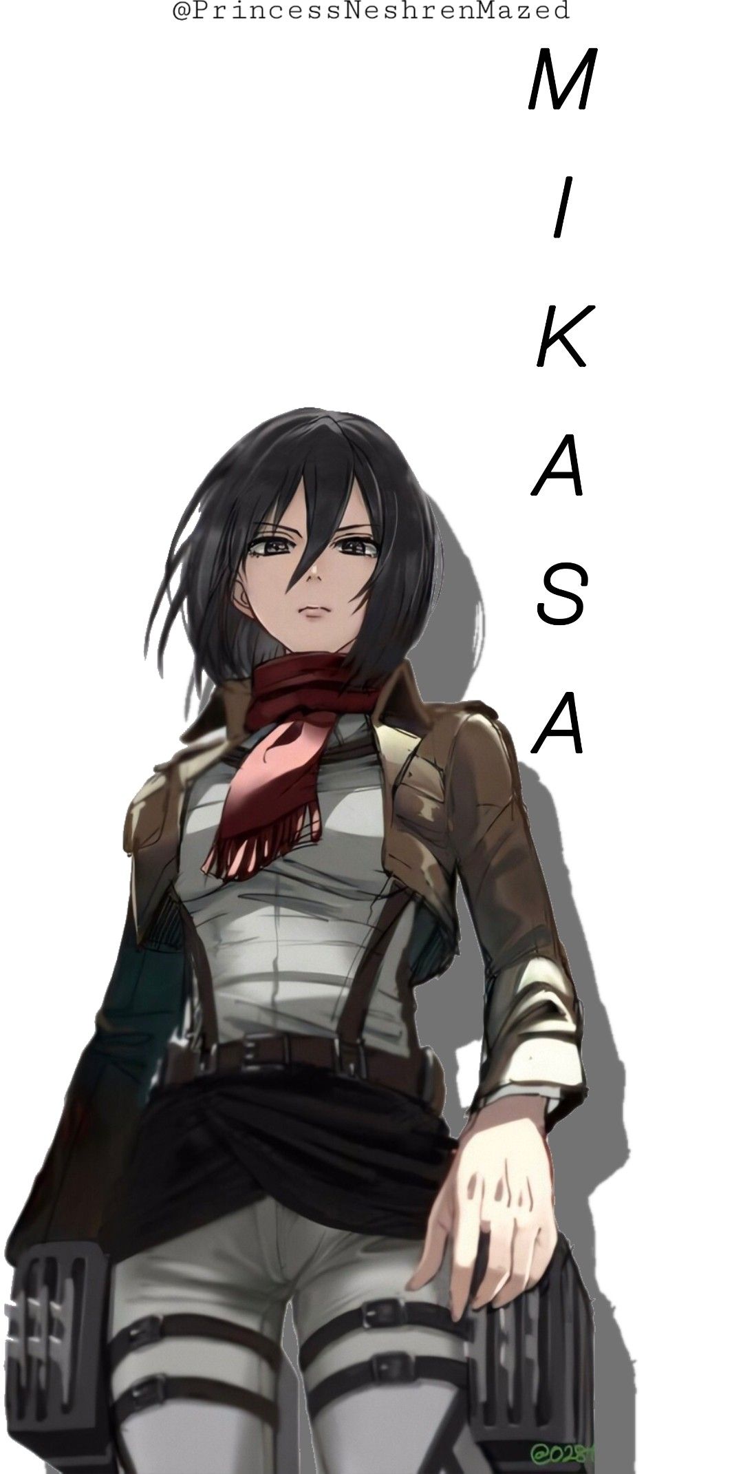 Anime Aesthetic Mikasa Wallpapers - Wallpaper Cave