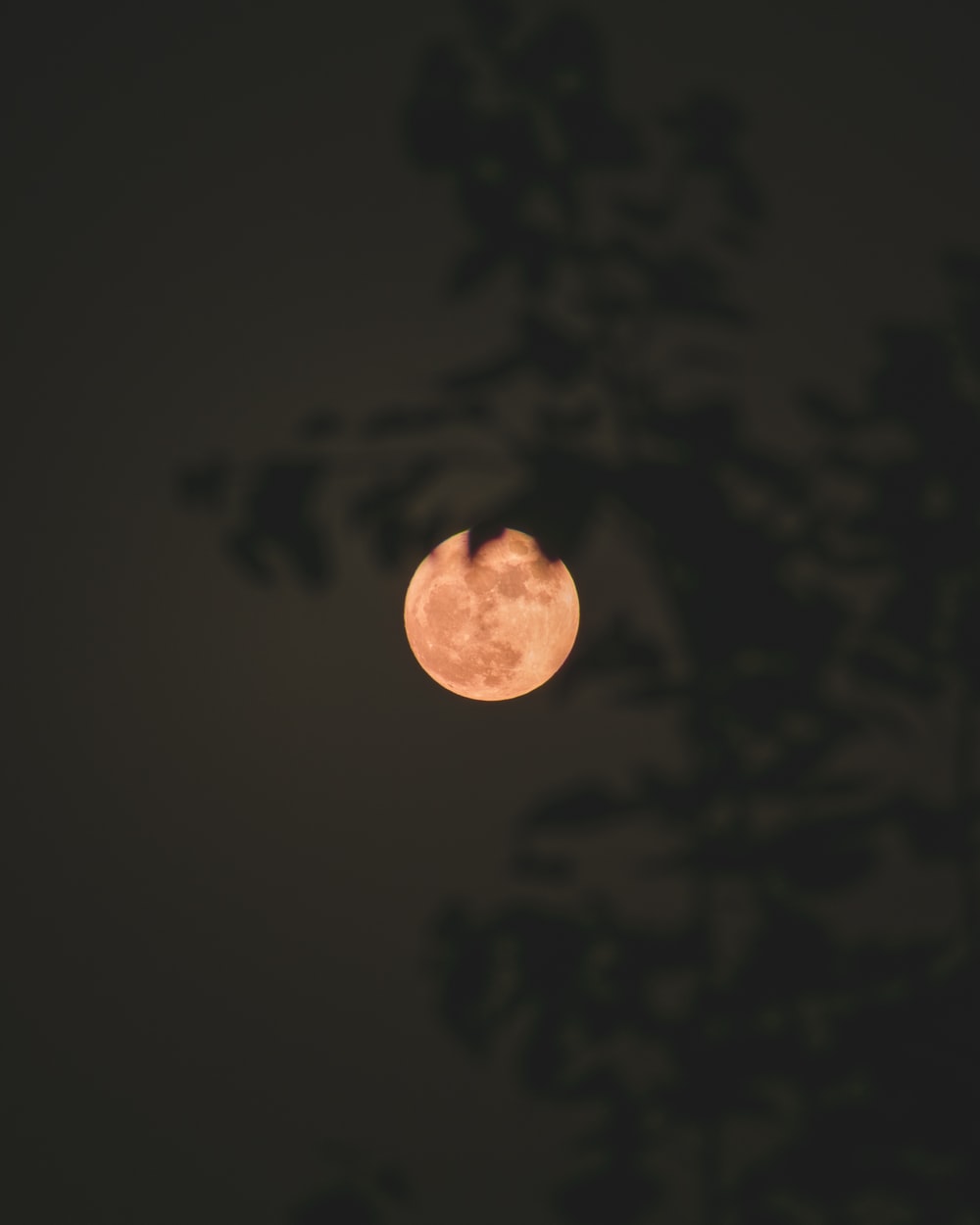 Yellow Moon Picture. Download Free Image