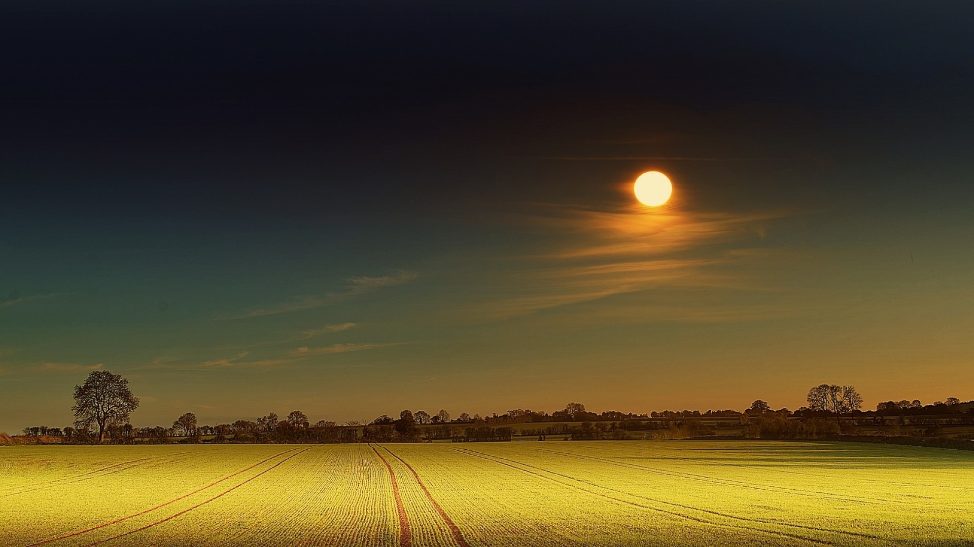 Wallpaper. Nature. photo. picture. yellow, moon, field, night