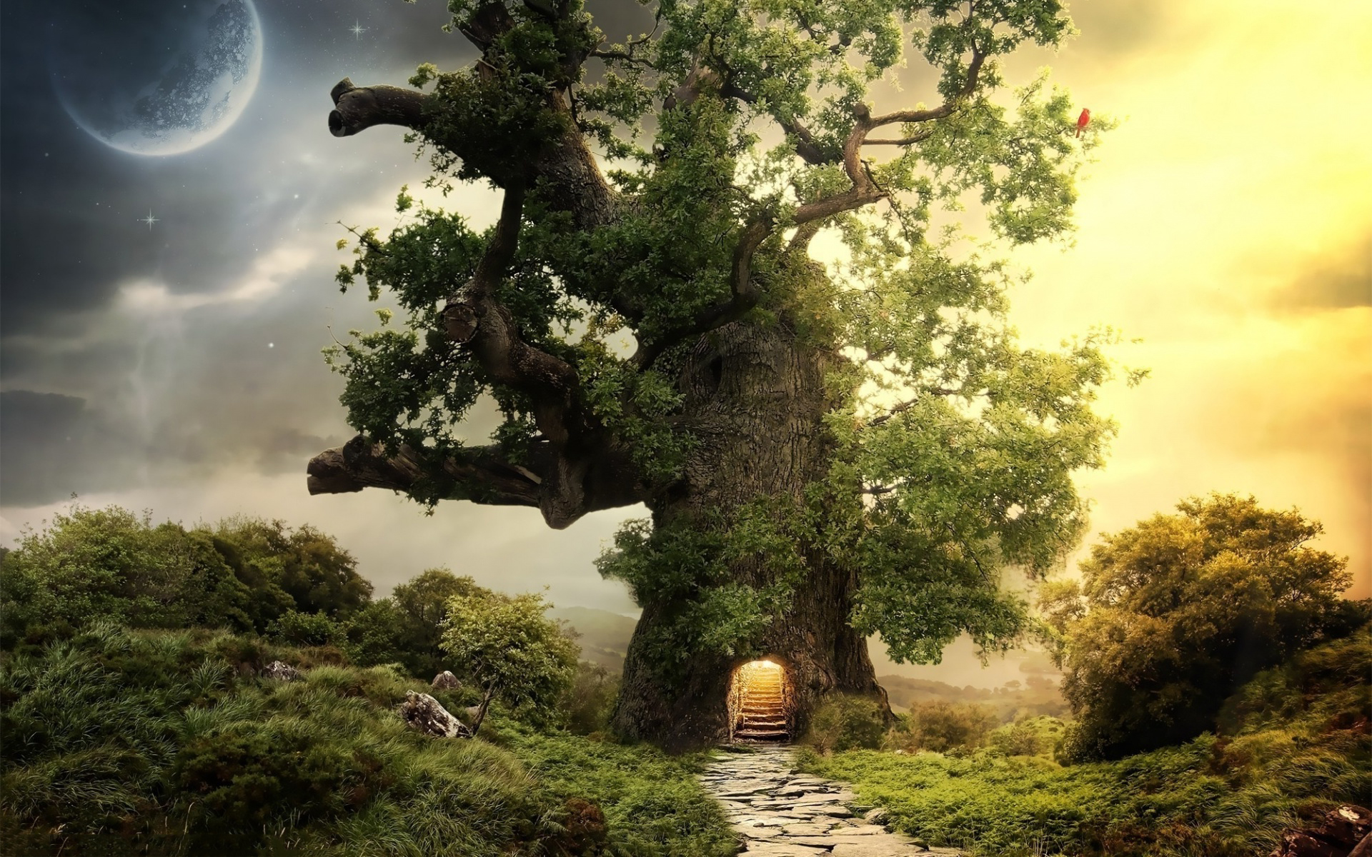 Fantasy Tree Picture