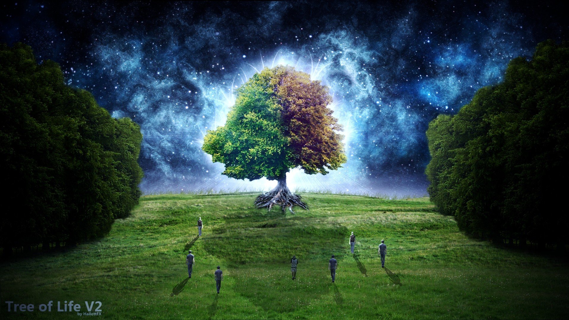 Trees fantasy art digital art Tree Of Life Starry Night Fantastic wallpaperx1080