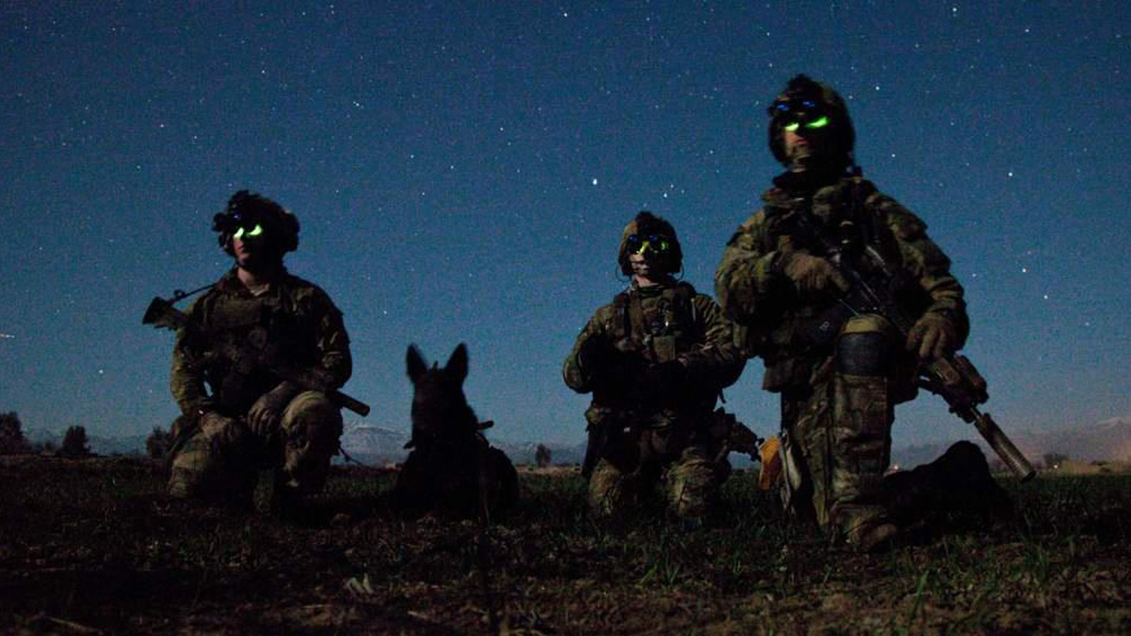 The Life of a War Dog in Picture. The SITREP Military BlogThe SITREP Military Blog