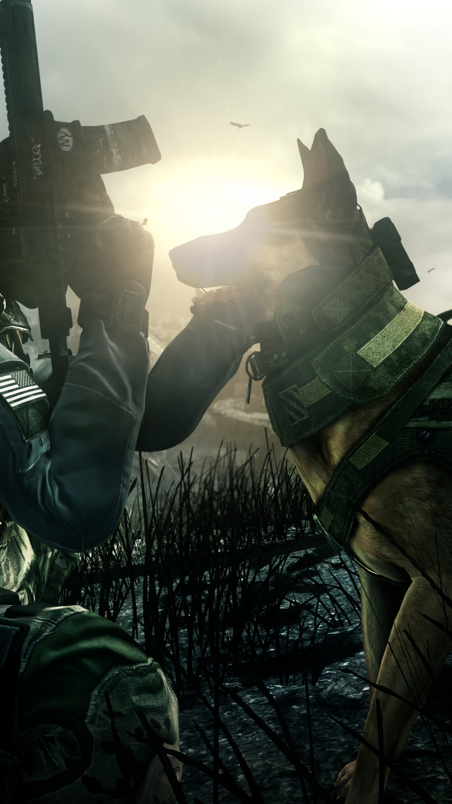 Wallpaper Call of Duty Ghosts, game, shooter, soldier, dog, rifle, CoD, Ghosts, multiplayer, screenshot, Games
