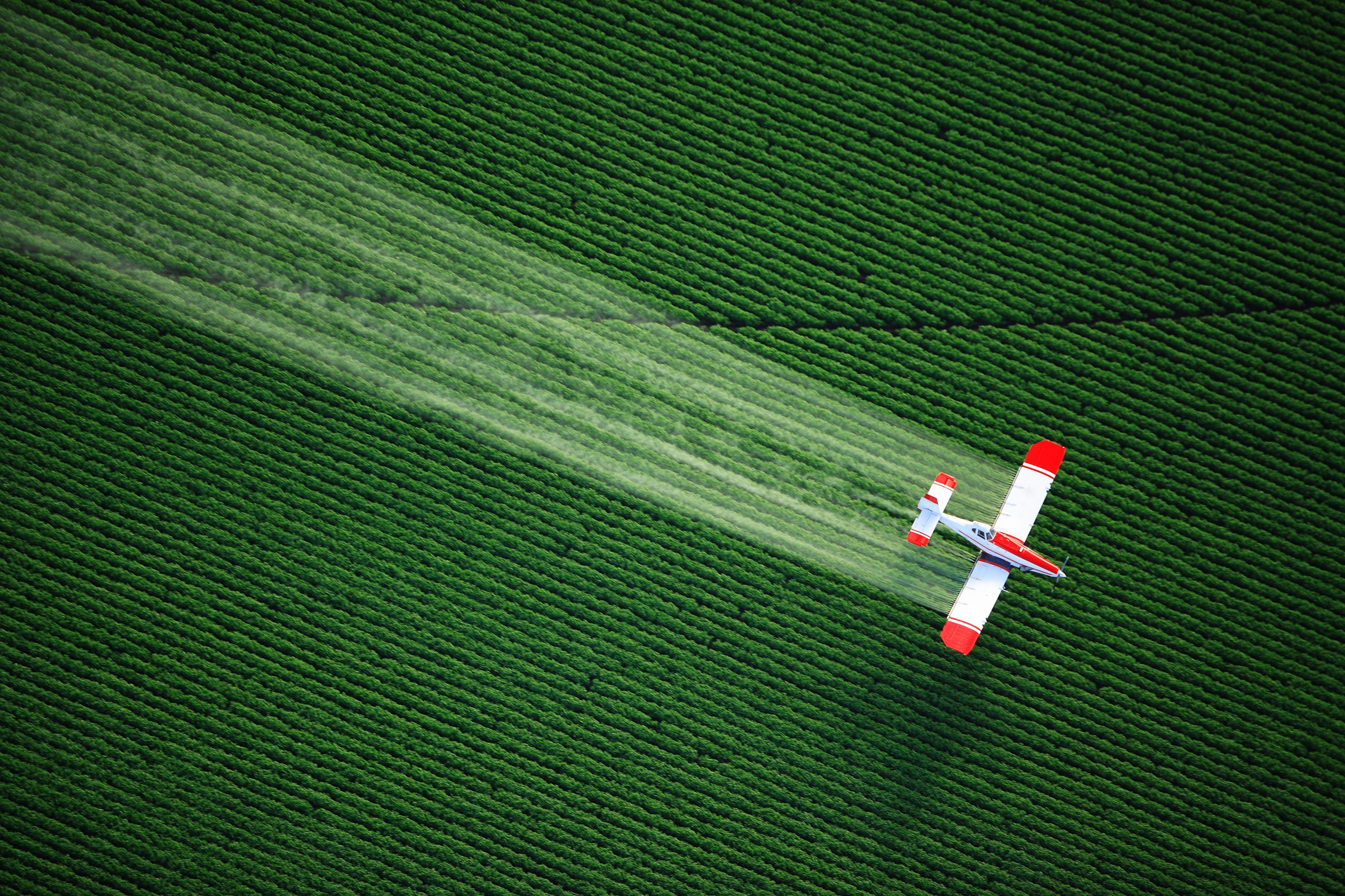 The aircraft spray fertilizer over the field wallpaper and image, picture, photo