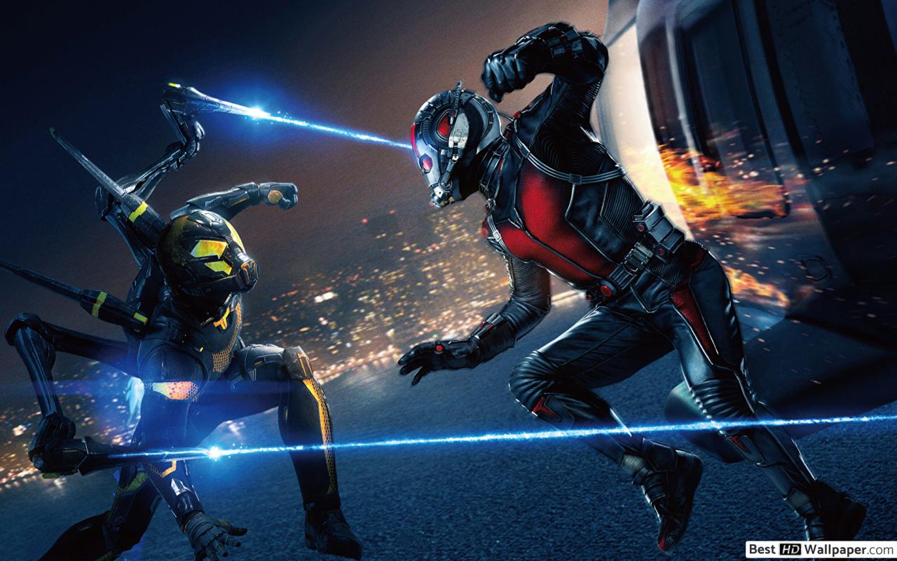 Ant Man Movie Vs Ant Man HD Wallpaper Download