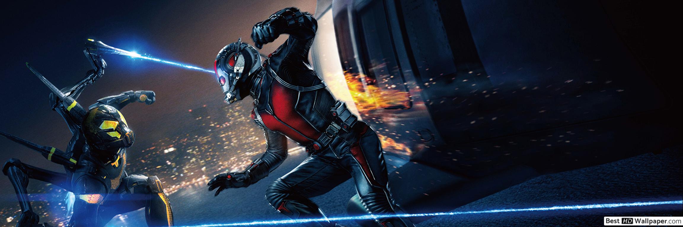Ant Man Movie Vs Ant Man HD Wallpaper Download