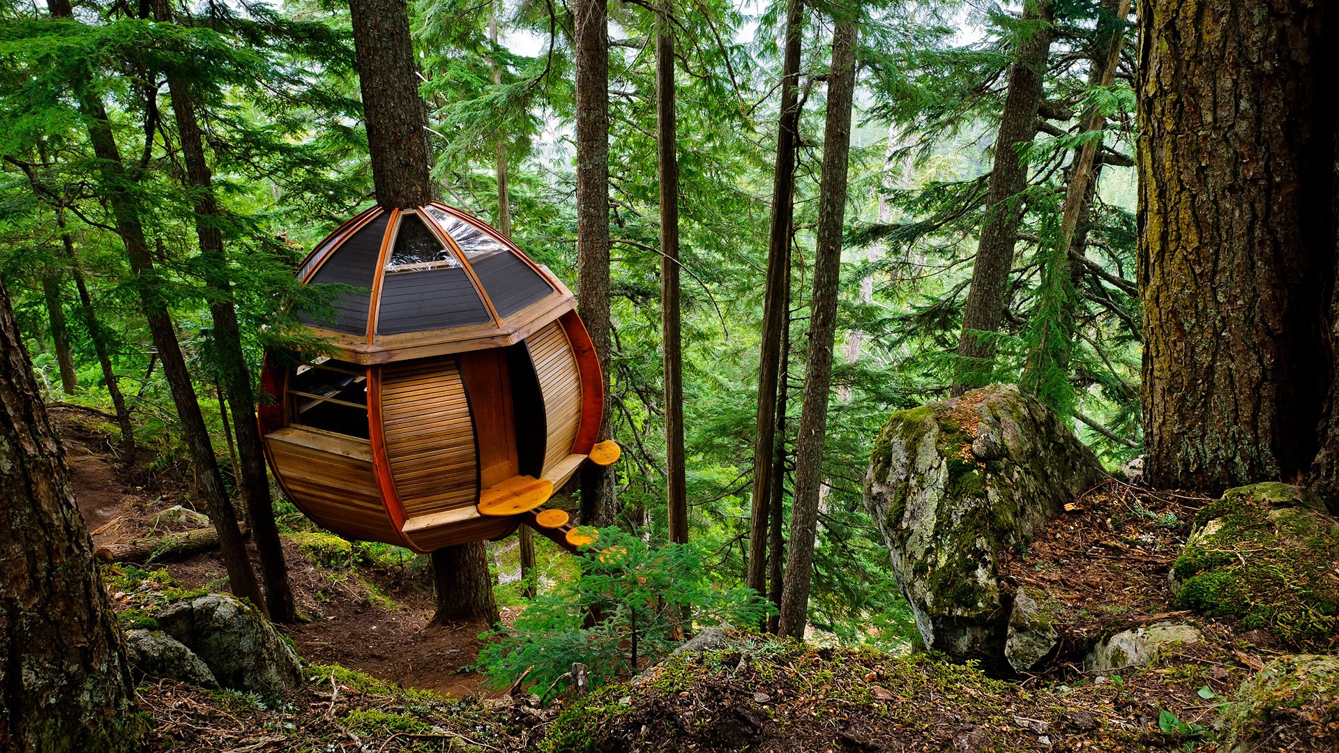 architecture, House, Nature, Trees, Branch, Forest, Wood, Sphere, Rock, Stones, Moss, Dirt Road, Environment, Treehouse Wallpaper HD / Desktop and Mobile Background