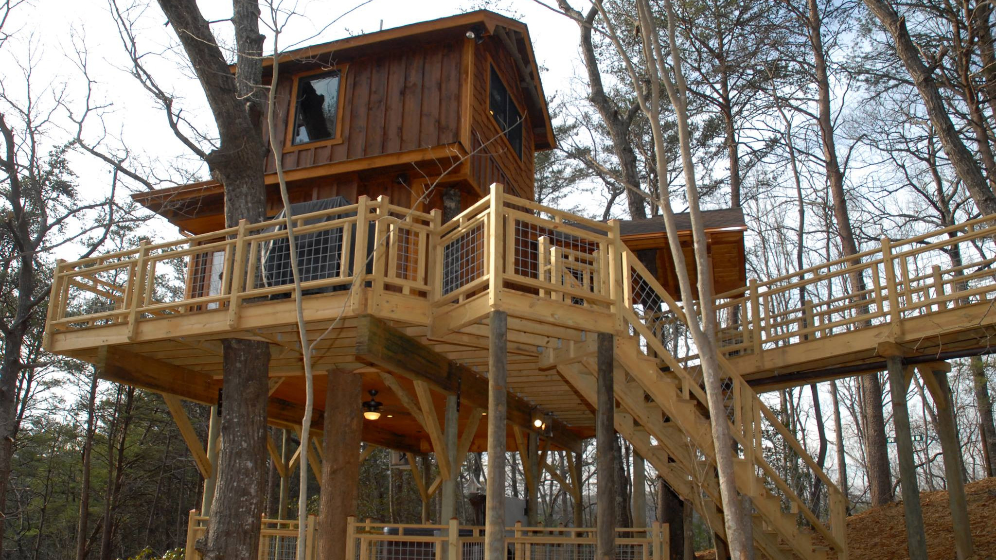 The charms of treehouse cabins