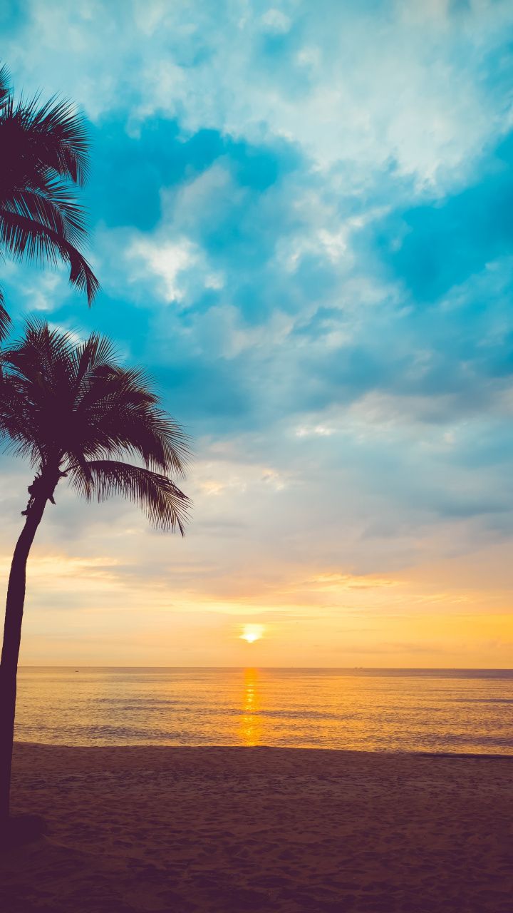 Sky, sunset, beach, sea, palm trees, 720x1280 wallpaper. Sunset picture, Sunset wallpaper, Sunrise picture
