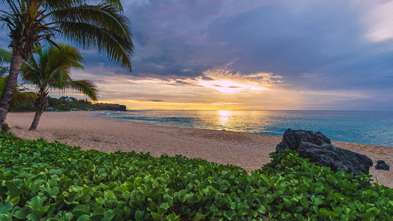 Image Reunion, Indian ocean Beach Nature Palms Tropics sunrise and
