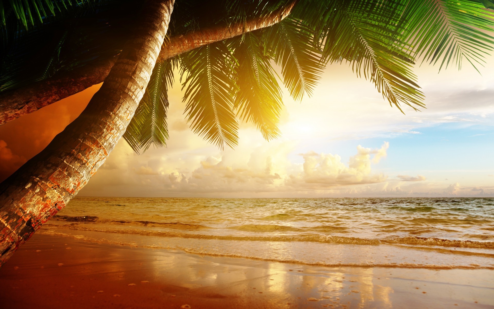 Wallpapers : sunlight, sunset, sea, night, water, sand, reflection, beach, ...