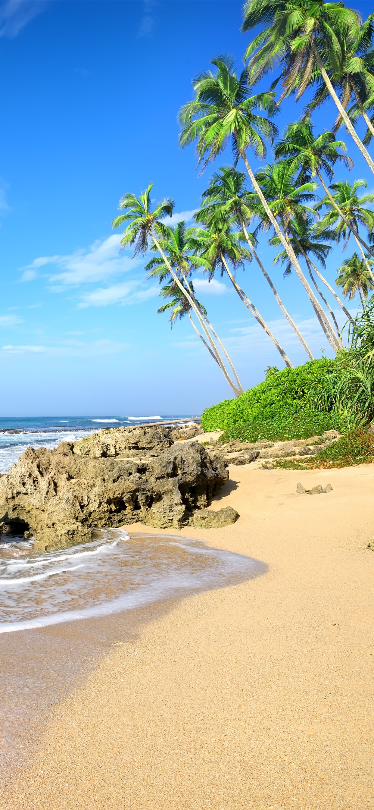 iPhone Wallpaper Palm Trees, Beach, Sea, Waves, Rocks 9 Background Tropical