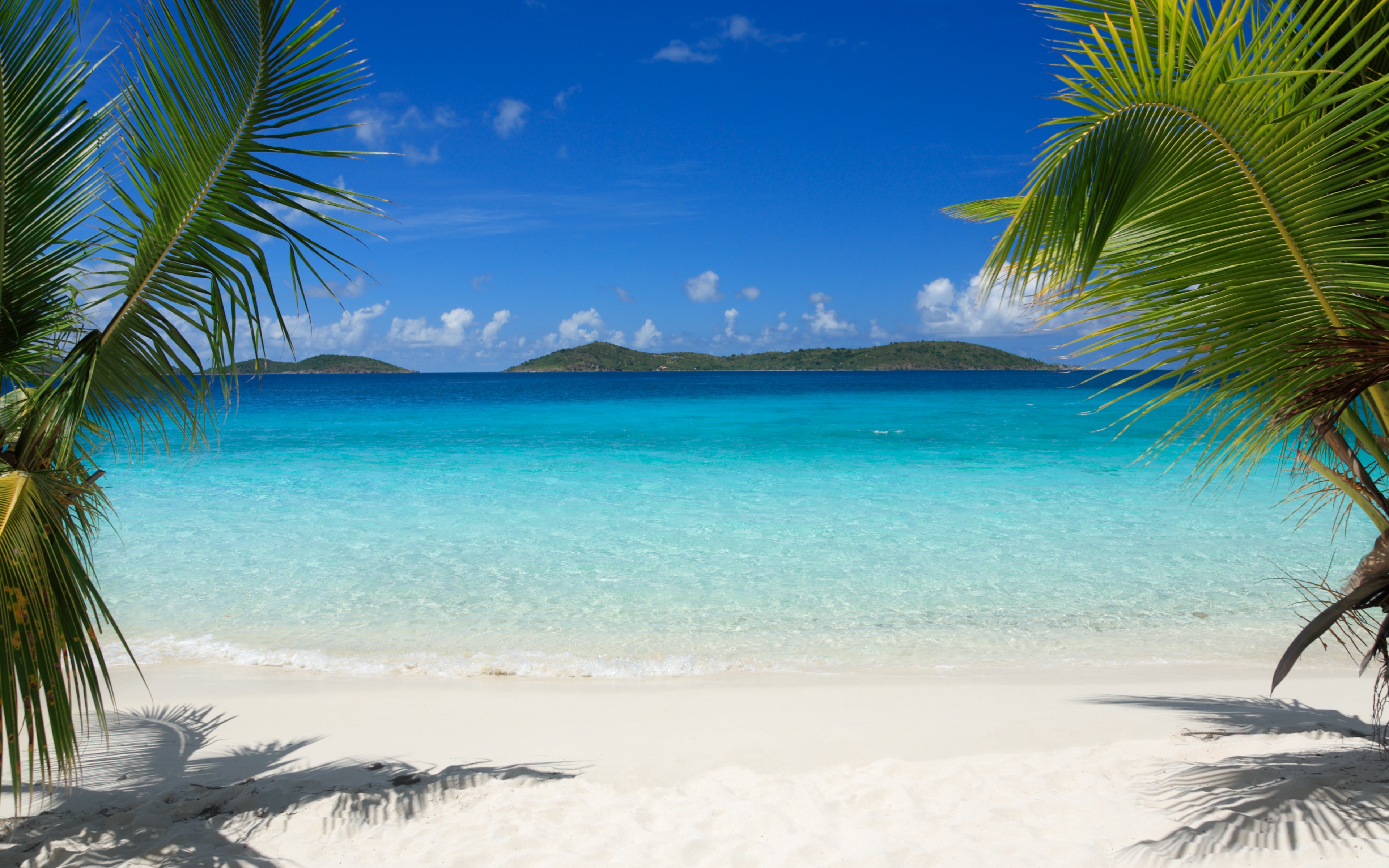 Palm Trees Beach Wallpaper