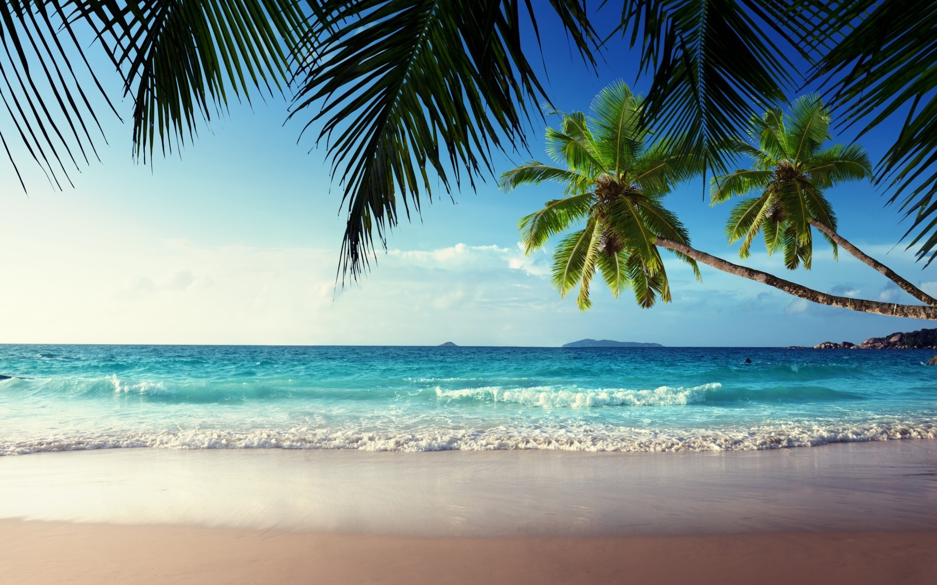 beach, Sand, Palm trees Wallpaper HD / Desktop and Mobile Background