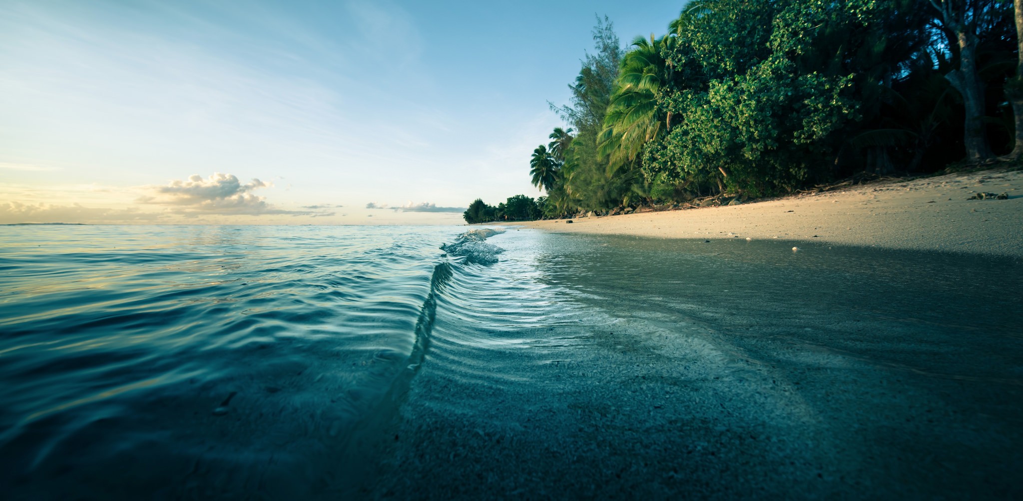 #nature, #water, #beach, #palm trees, #sand, #waves, #trees, #landscape, #morning, #sea, wallpaper. Mocah HD Wallpaper