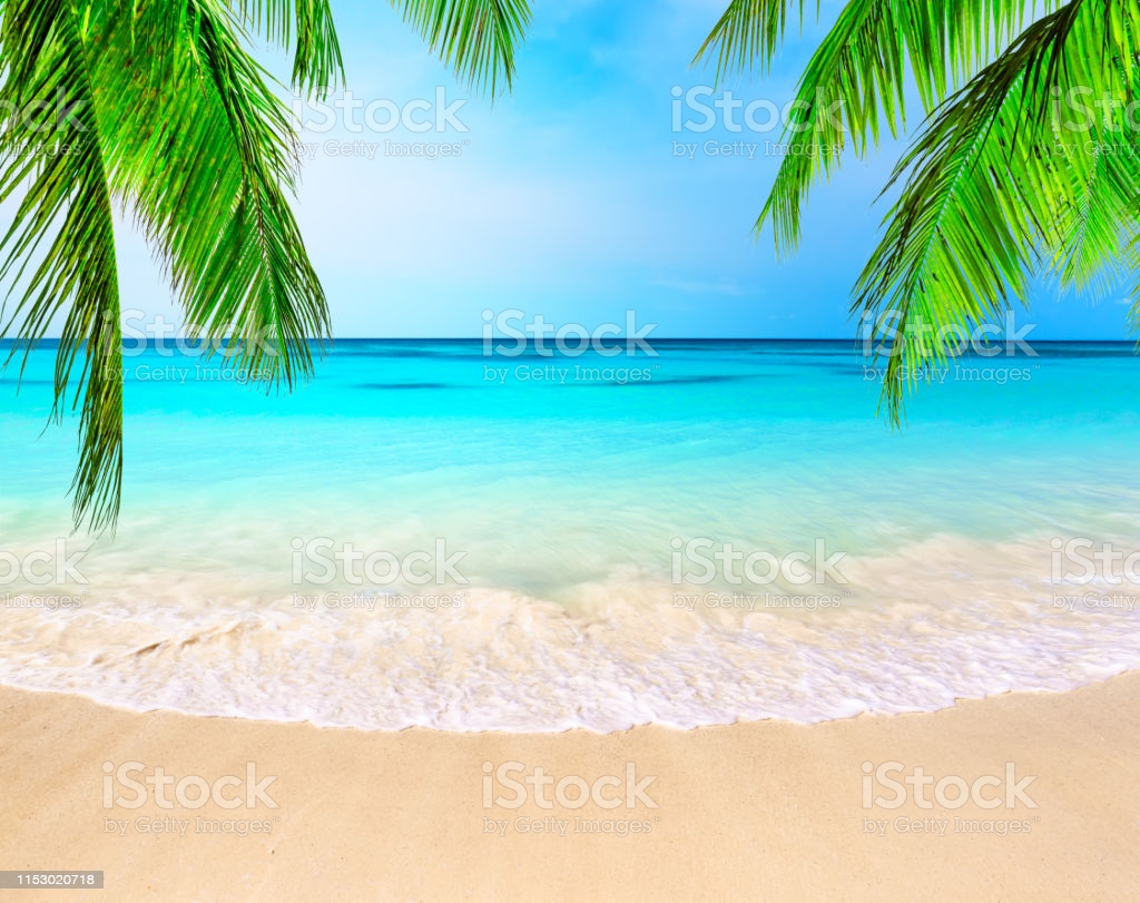 Wave Of The Sea On The Sand Beach Image Now