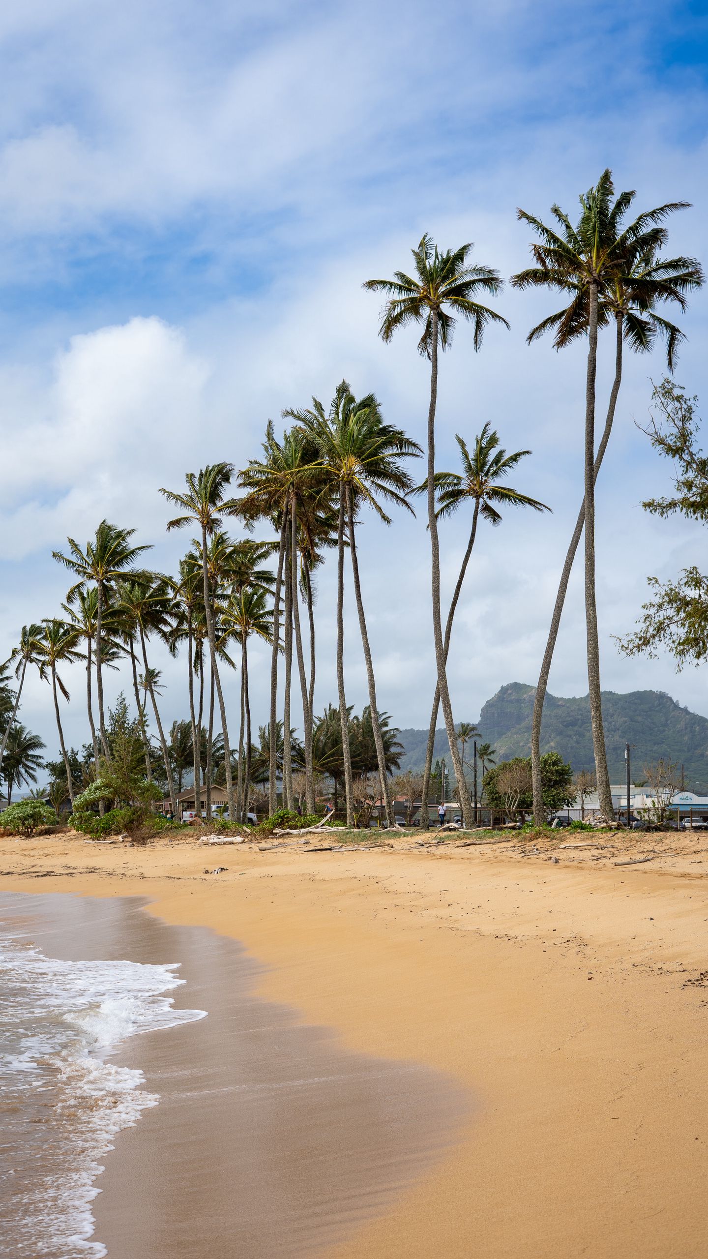 Palm Trees Beach Sand Waves Wallpapers - Wallpaper Cave