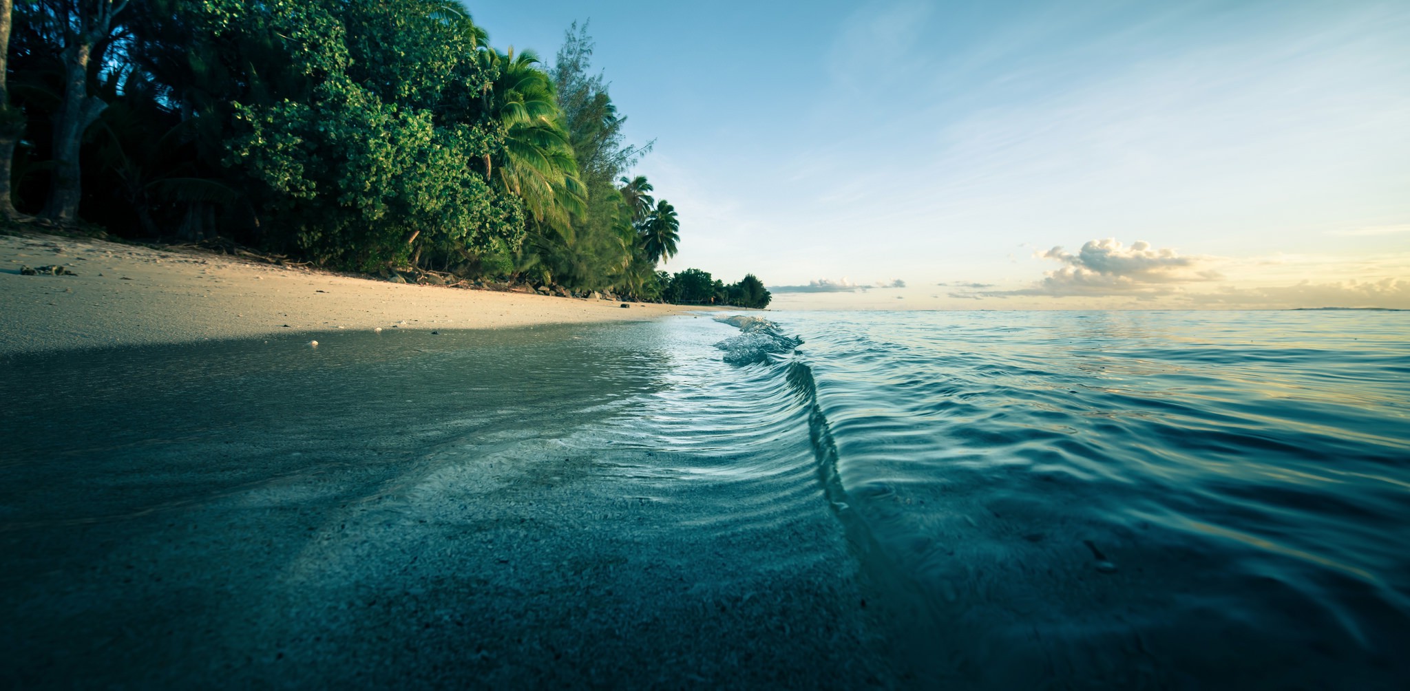 Wallpaper, sunlight, landscape, sea, bay, nature, shore, sand, reflection, sky, beach, calm, morning, waves, coast, palm trees, river, horizon, lagoon, Bank, vacation, tree, ocean, tropics, body of water, wind wave, water