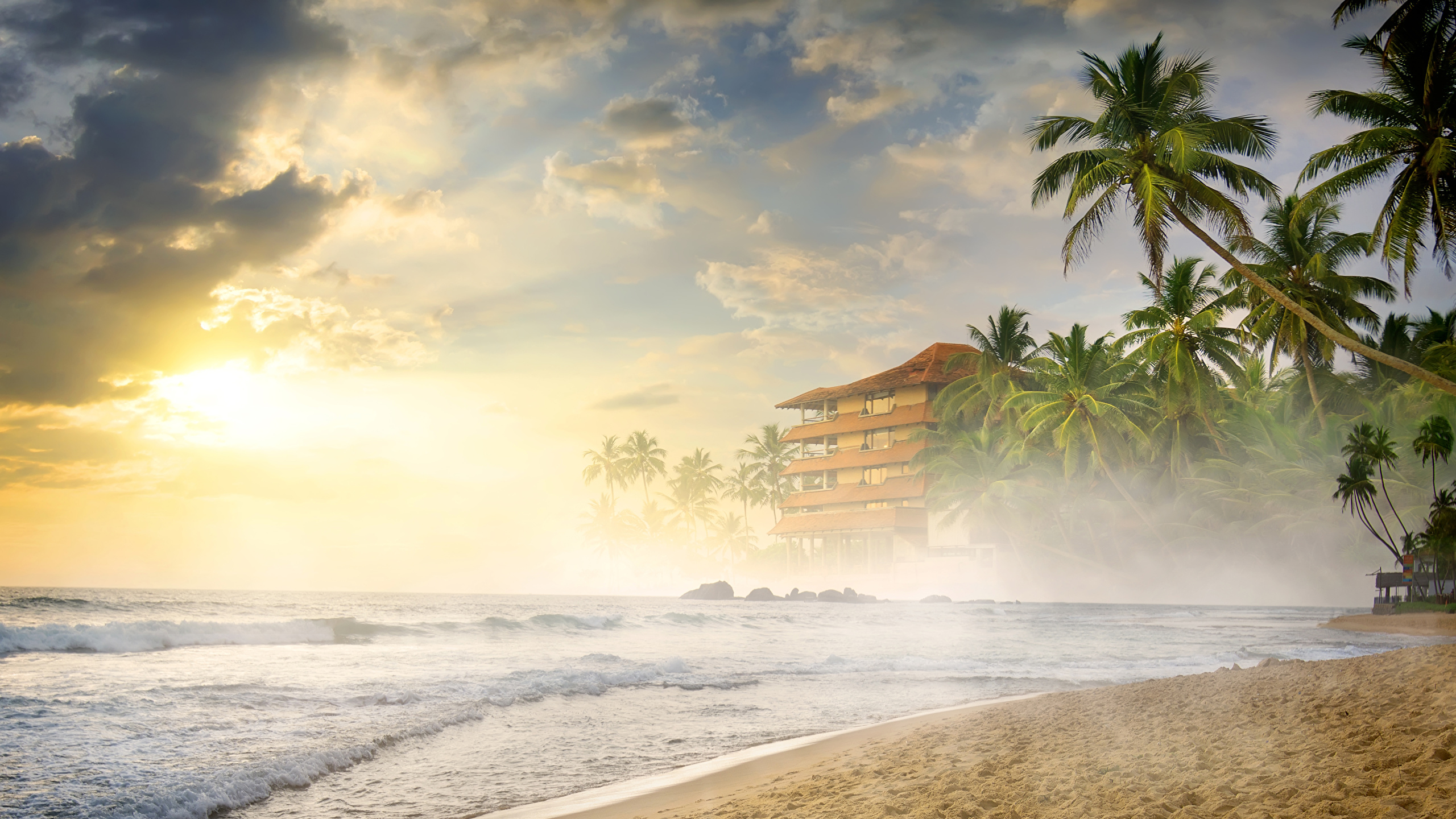 Photo Fog Beach Nature Sand Waves Tropics palm trees Coast 2560x1440