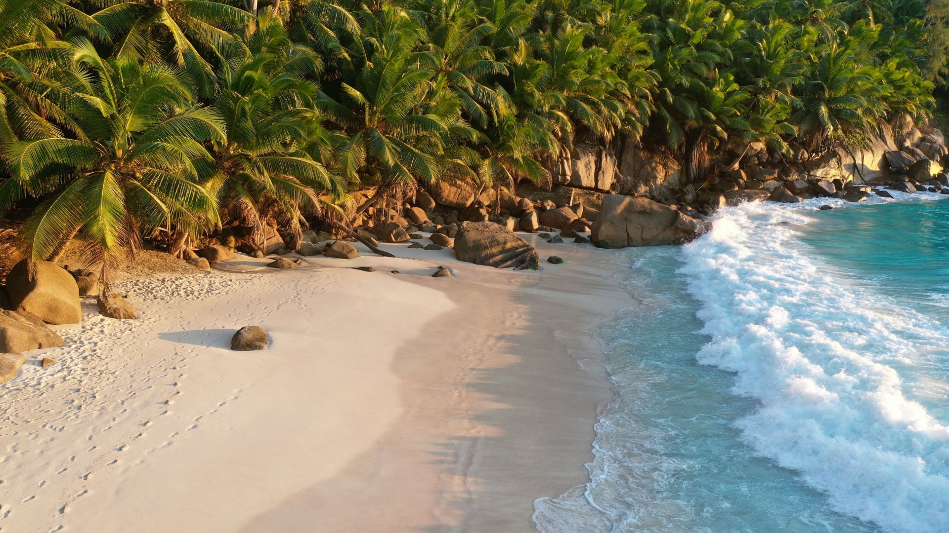Desktop wallpaper shoreline, beach, ocean waves, palms, HD image, picture, background, 4a12d0