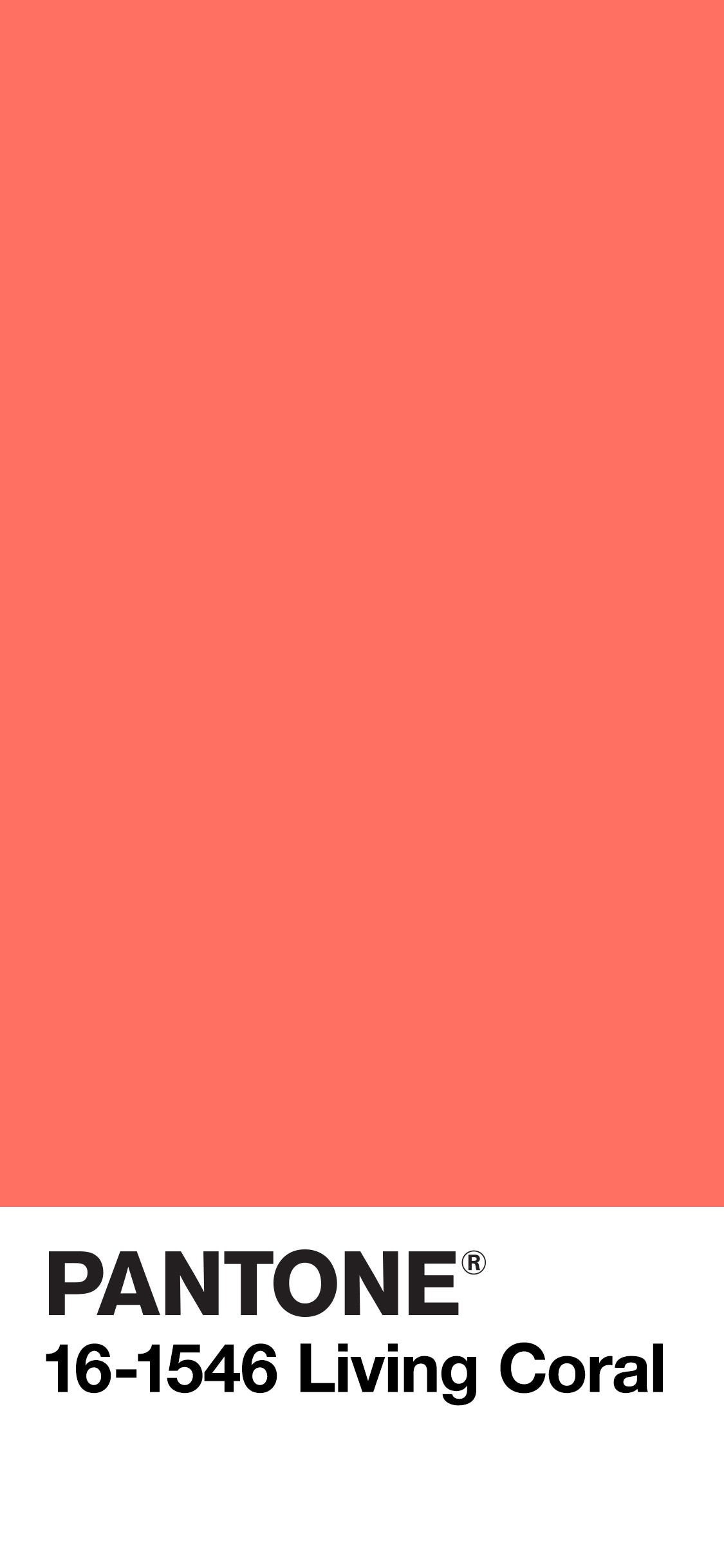 color coral background