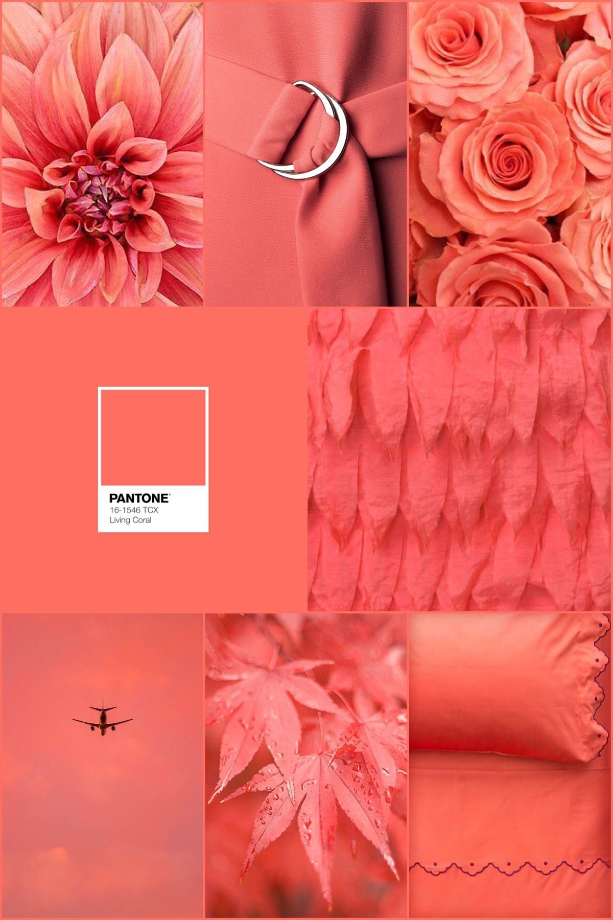 Coral Aesthetic Wallpaper Free Coral Aesthetic Background