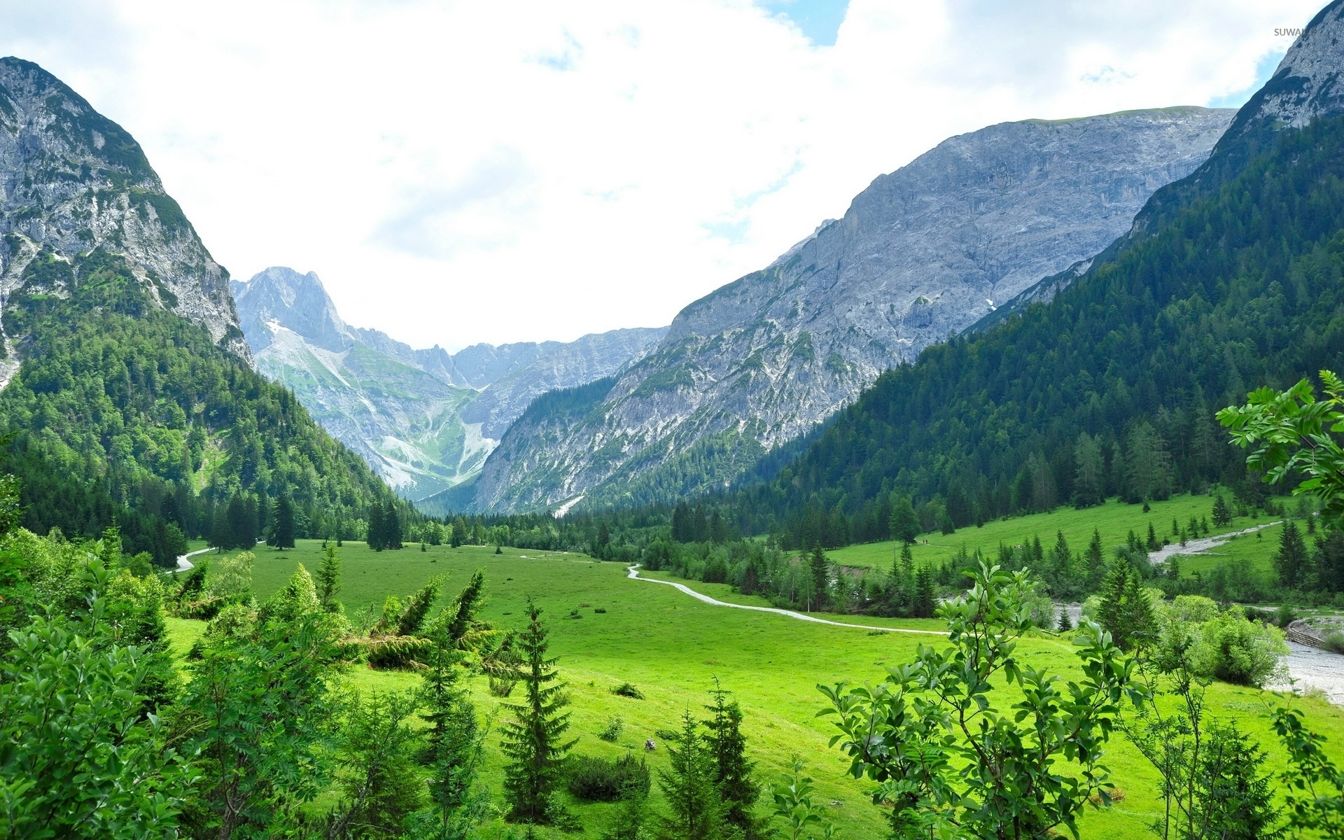 Amazing green valley in Tyrol wallpaper wallpaper