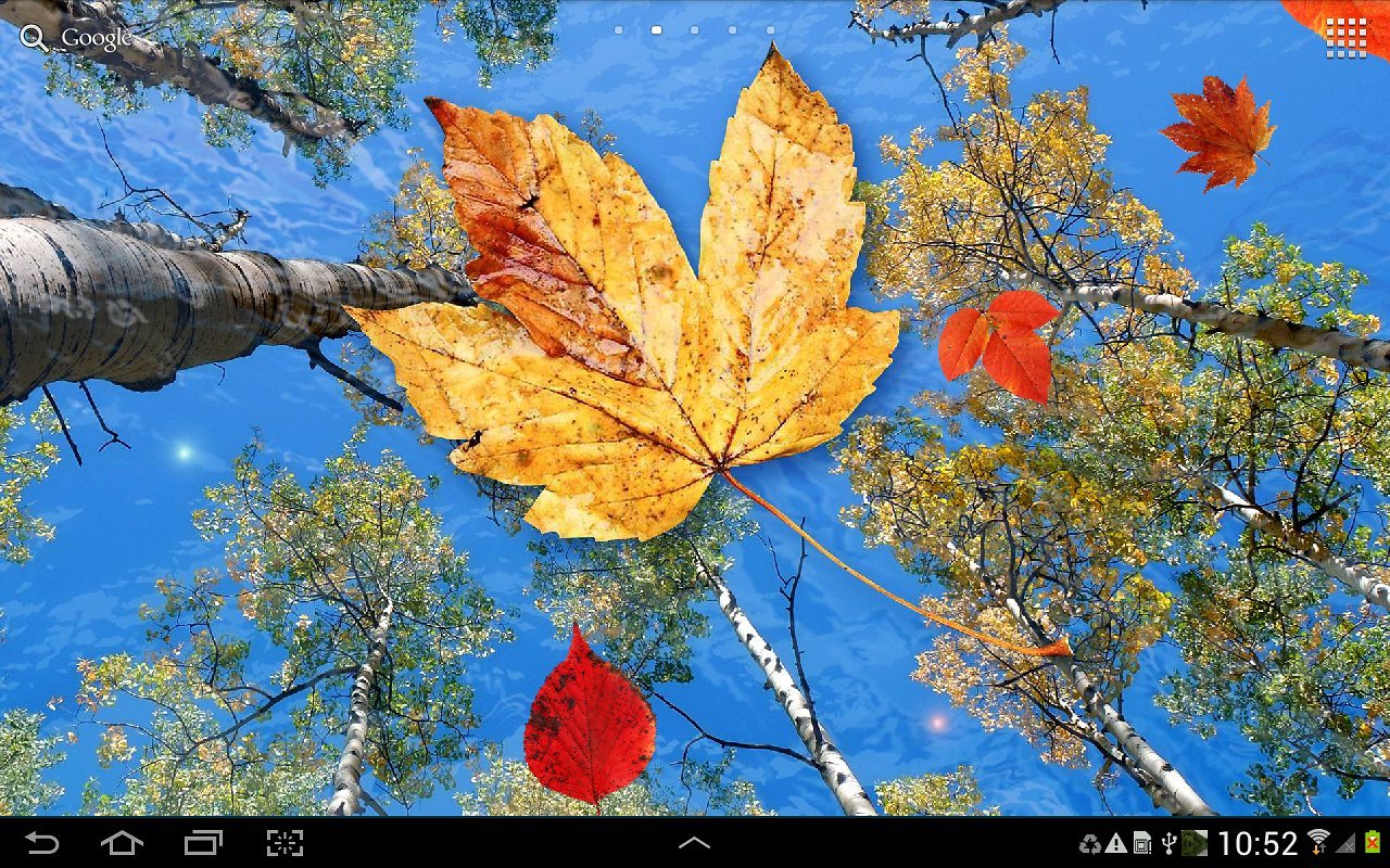 Free download Autumn Leaves Live Wallpaper Android Apps and Tests AndroidPIT [1280x800] for your Desktop, Mobile & Tablet. Explore The Yellow Wallpaper Reading Guide. The Yellow Wallpaper, The Yellow