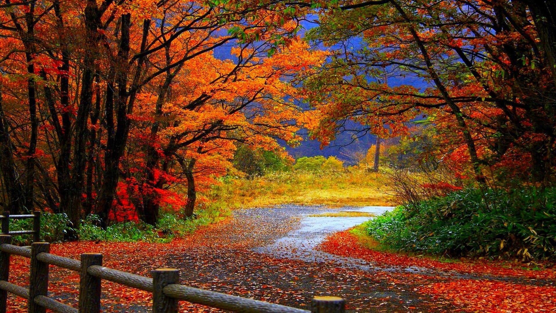 Desktop Wallpaper Autumn Scenes (best Desktop Wallpaper Autumn Scenes and image) on WallpaperChat