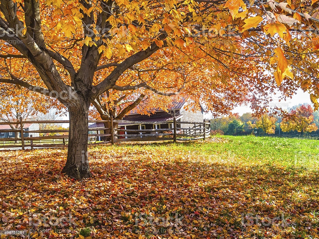 Autumn Farm Scene Image Now