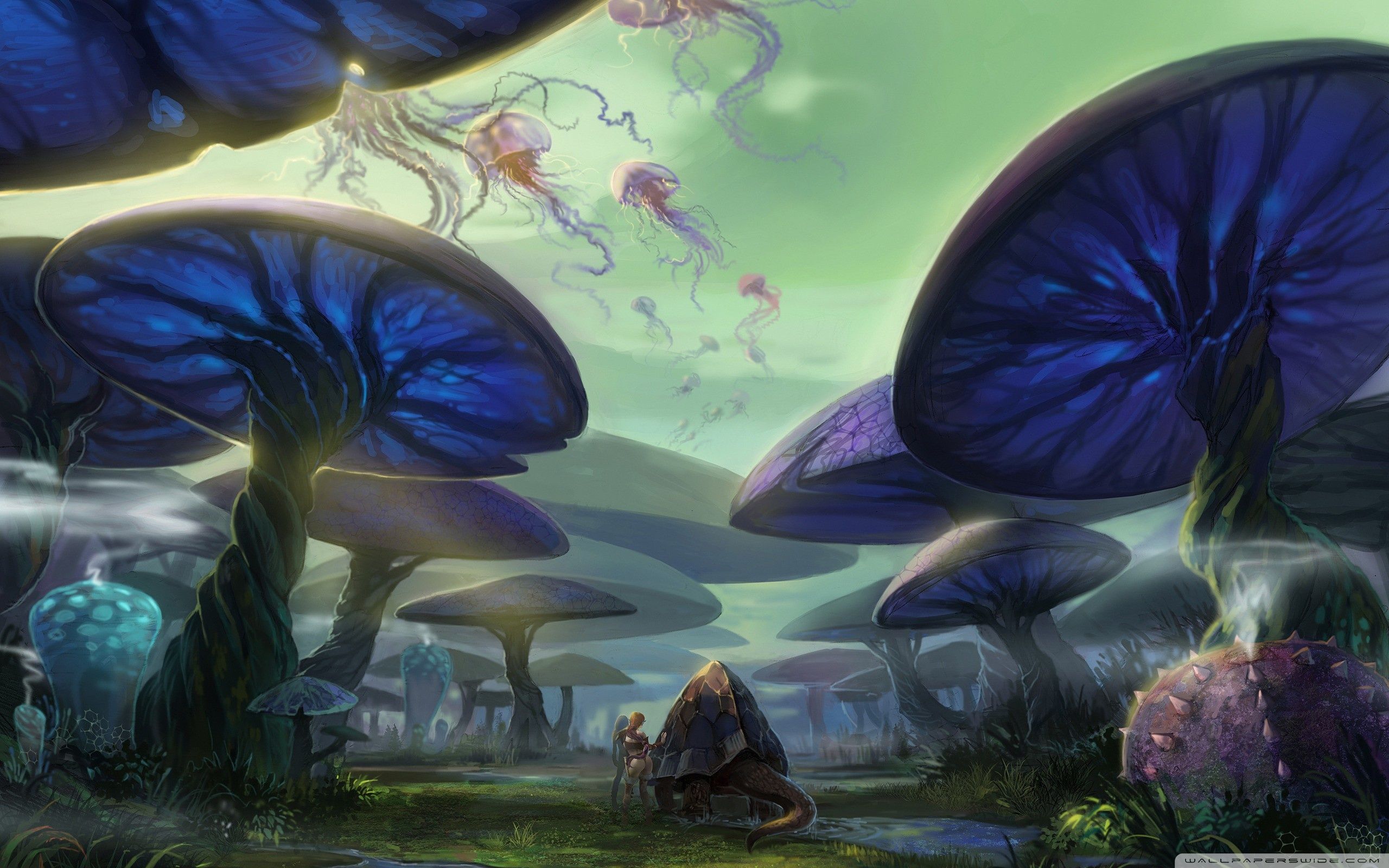 Mushroom PFP Wallpapers - Wallpaper Cave