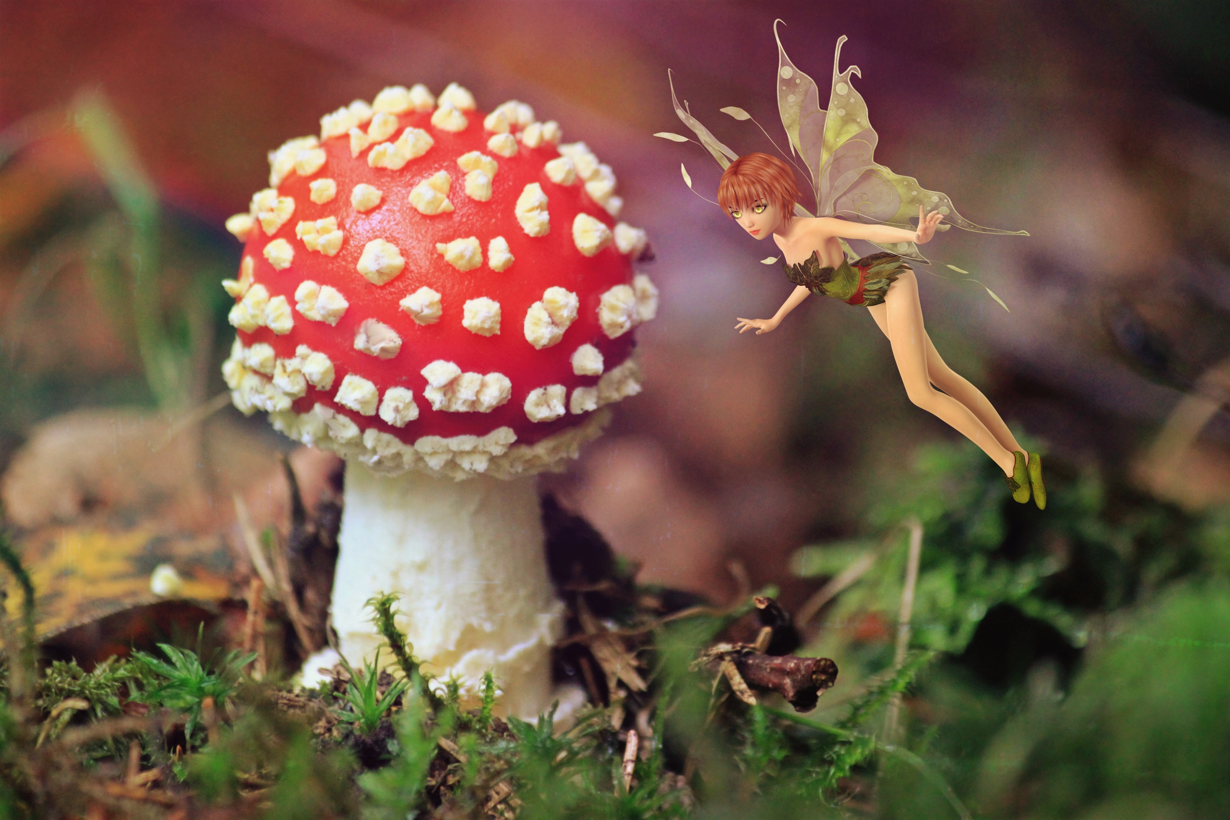 Free photo: Fairy and the Mushroom, Mushroom, Nature
