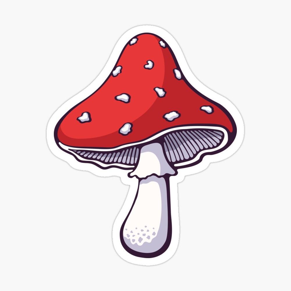 Amanita muscaria mushroom Sticker by Pisarovsky. Mushroom drawing, Cute stickers, Sticker art