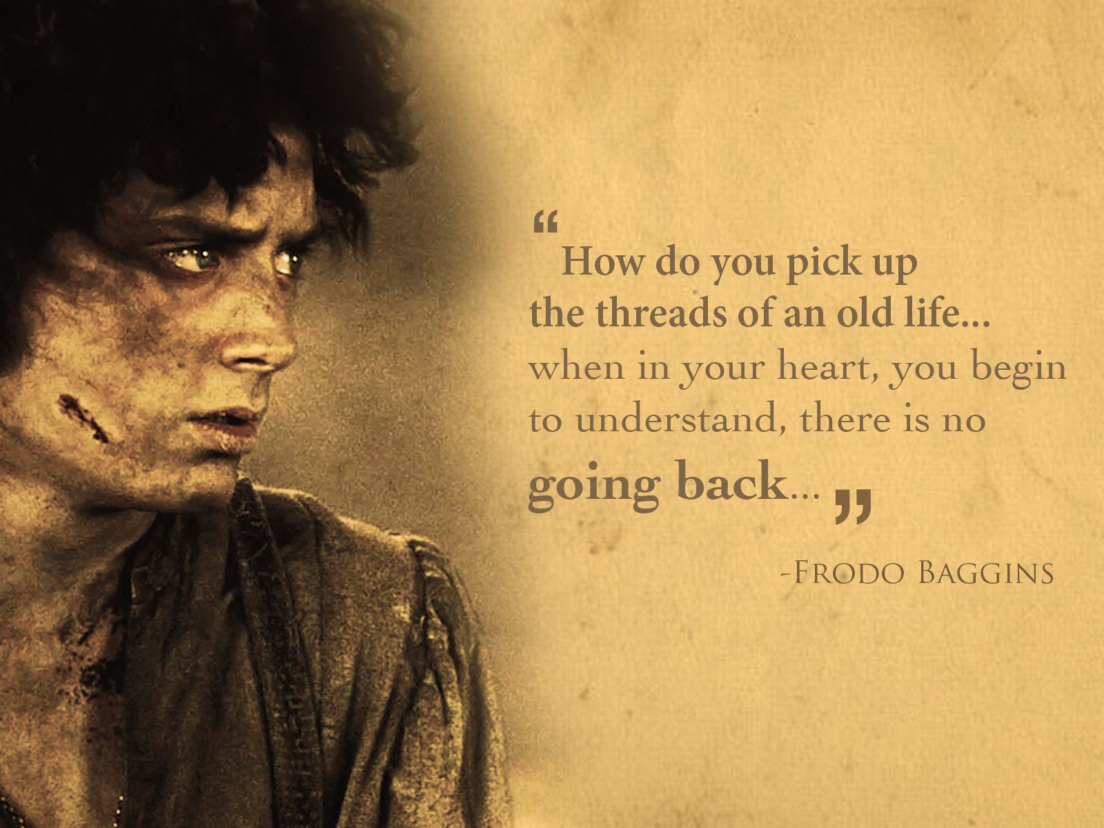 frodo tribute wallpaper. Lotr quotes, Lord of the rings, Tolkien quotes